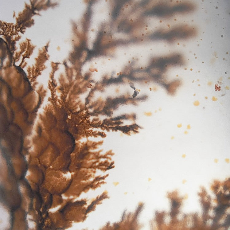 Bague Agate Dendritique - Grand