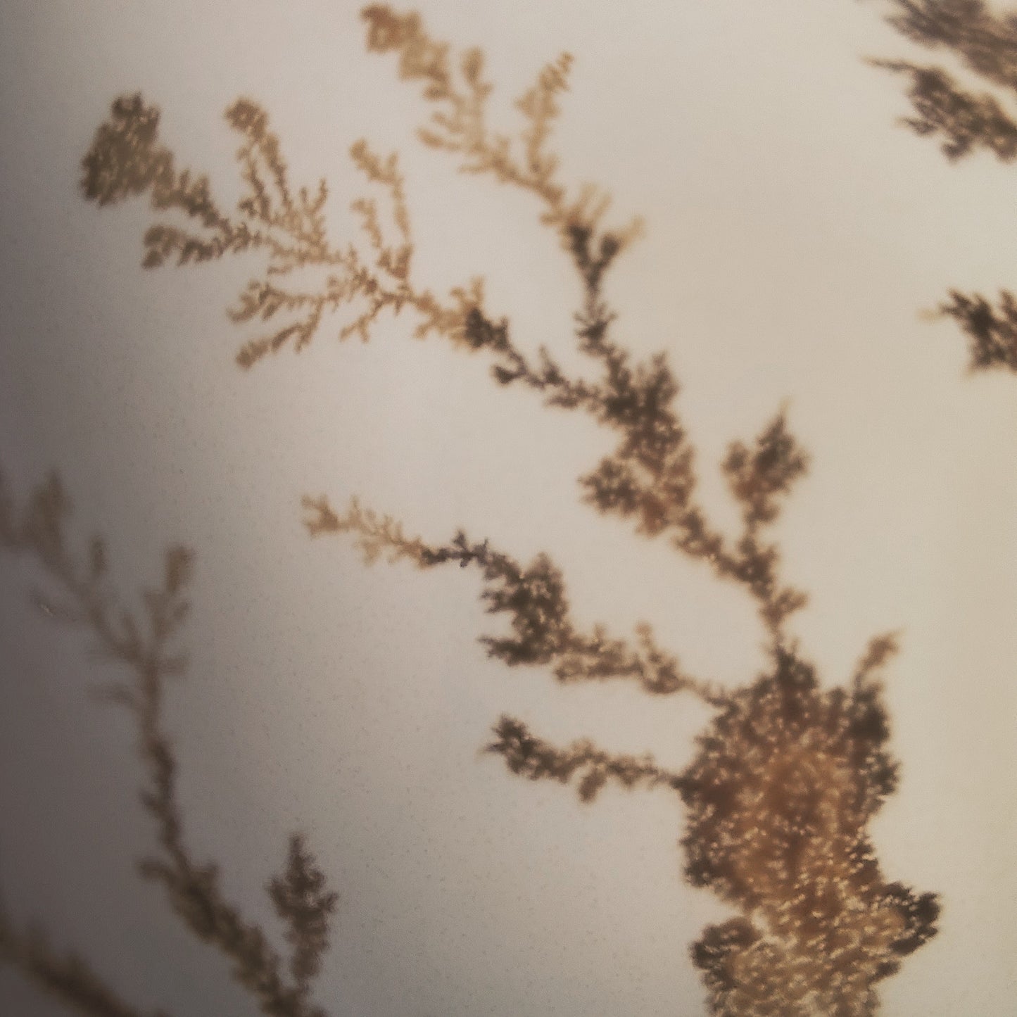 Bague Agate Dendritique - Petit