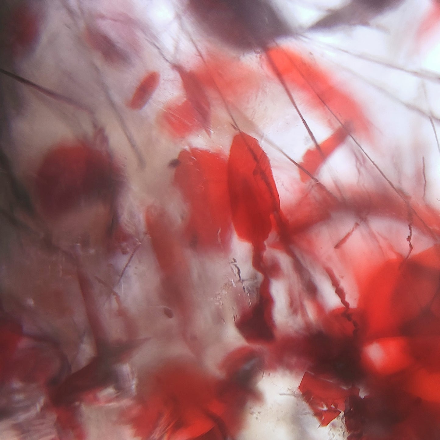 Bague Cristal de roche et inclusions d'Hématite - Ovale