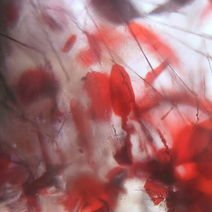 Bague Cristal de roche et inclusions d'Hématite - Ovale